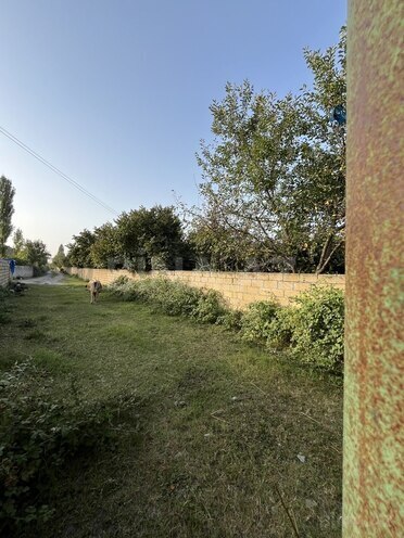 Satılır  torpaq 100 sot, photo 17 from 26