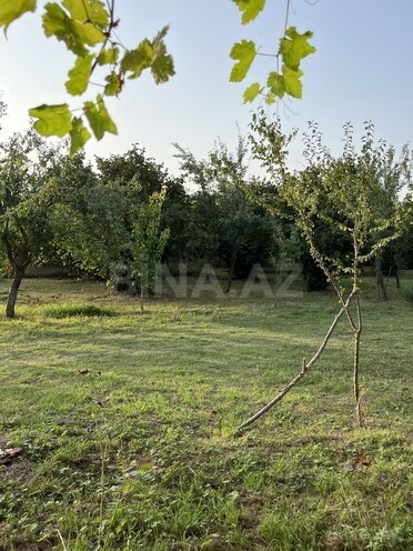 Satılır  torpaq 100 sot, photo 23 from 26