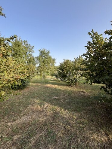 Satılır  torpaq 100 sot, photo 7 from 26