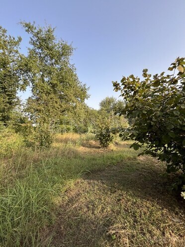 Satılır  torpaq 100 sot, photo 3 from 26