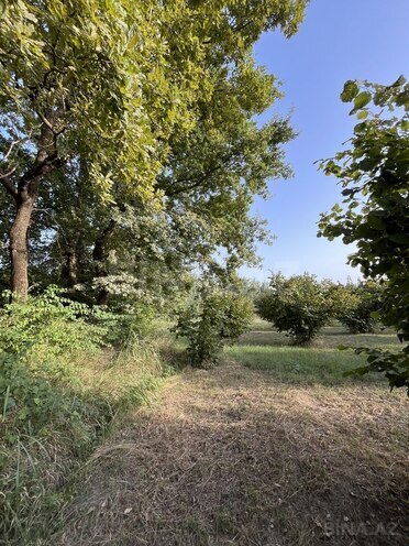 Satılır  torpaq 100 sot, photo 4 from 26