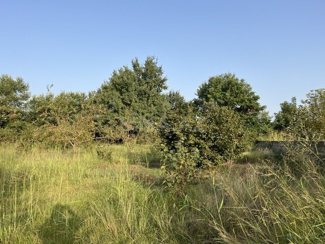 Satılır  torpaq 100 sot, photo 19 from 26