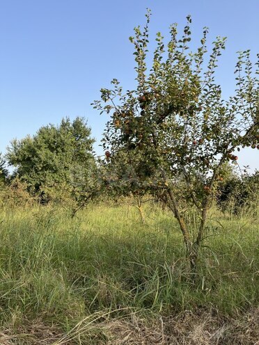 Satılır  torpaq 100 sot, photo 12 from 26