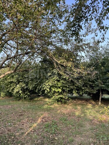 Satılır  torpaq 100 sot, photo 24 from 26