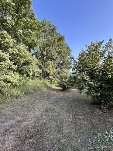 Satılır  torpaq 100 sot, photo 5 from 26