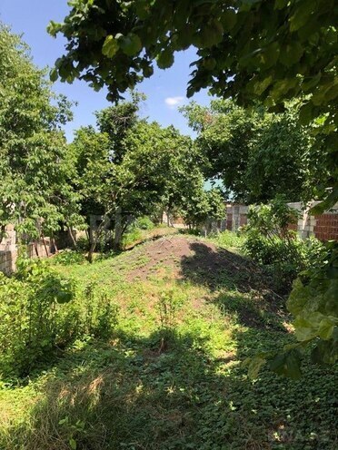 6 otaqlı həyət evi/bağ evi - İsmayıllı - 360 m² (4)