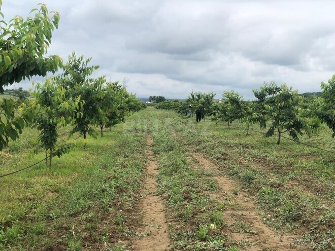 Satılır  torpaq 6.8 sot, photo 15 from 16