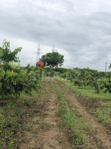 Satılır  torpaq 6.8 sot, photo 8 from 16