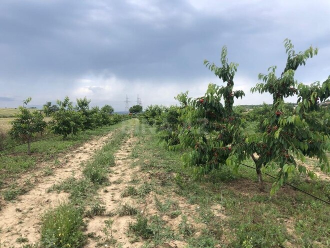 Satılır  torpaq 6.8 sot, photo 9 from 16