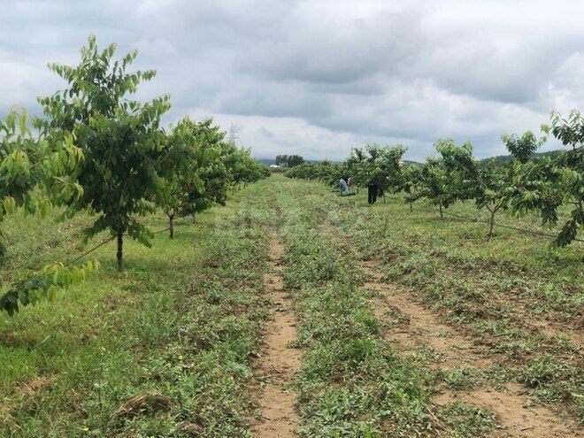 Satılır  torpaq 6.8 sot, photo 12 from 16