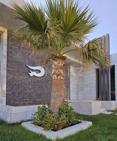 5 otaqlı həyət evi/bağ evi - Şıxov q. - 500 m² (3)