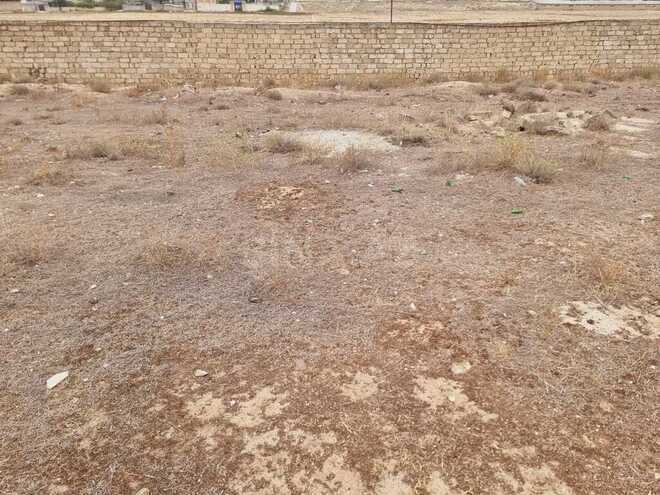 Torpaq - Qala q. - 12 sot (3)