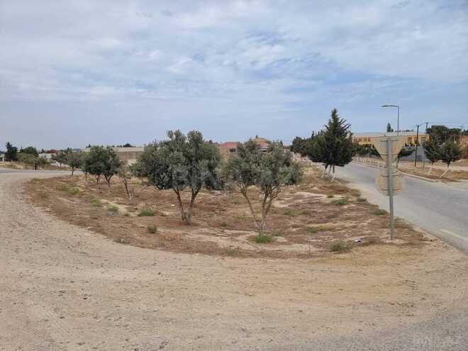 Torpaq - Qala q. - 12 sot (8)