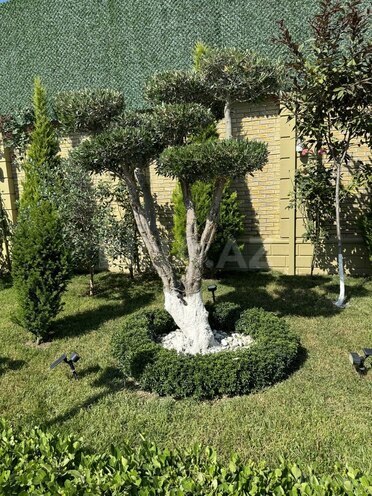 5 otaqlı həyət evi/bağ evi - Şüvəlan q. - 210 m² (4)