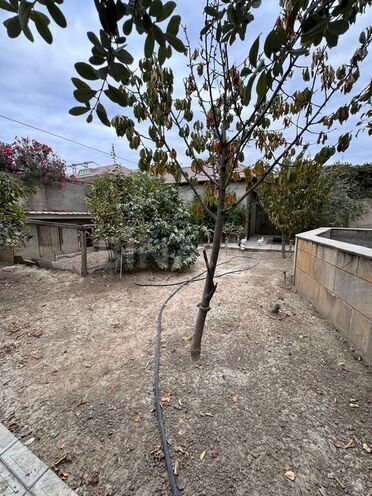 5 otaqlı həyət evi/bağ evi - 7-ci mikrorayon q. - 350 m² (21)