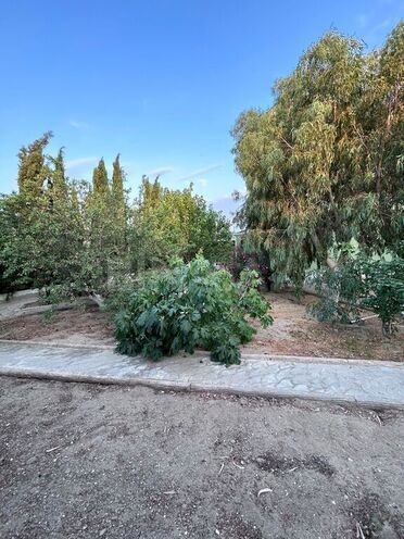 5 otaqlı həyət evi/bağ evi - Hövsan q. - 365 m² (14)