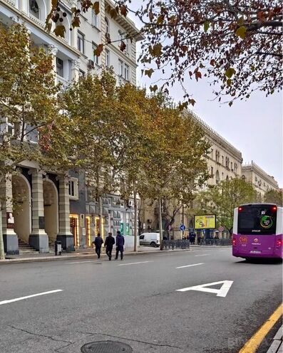 Сдаётся  объект 4 000 м², м. Ичеришехер, photo 3 from 9