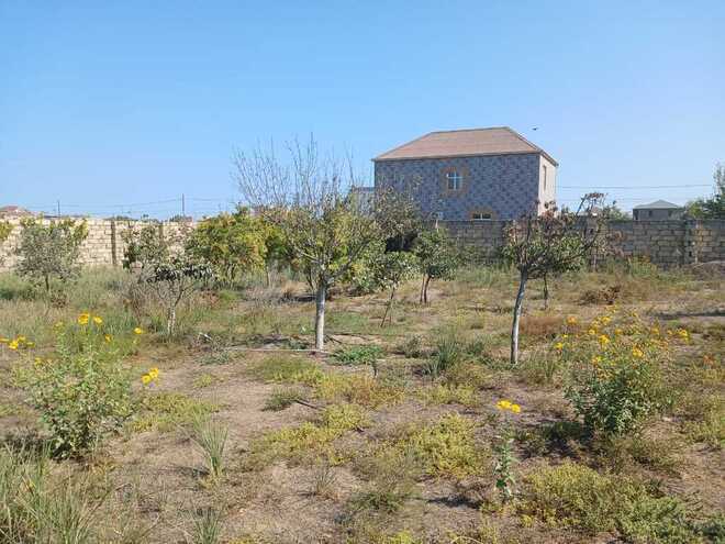 4 otaqlı həyət evi/bağ evi - Nardaran q. - 100 m² (11)