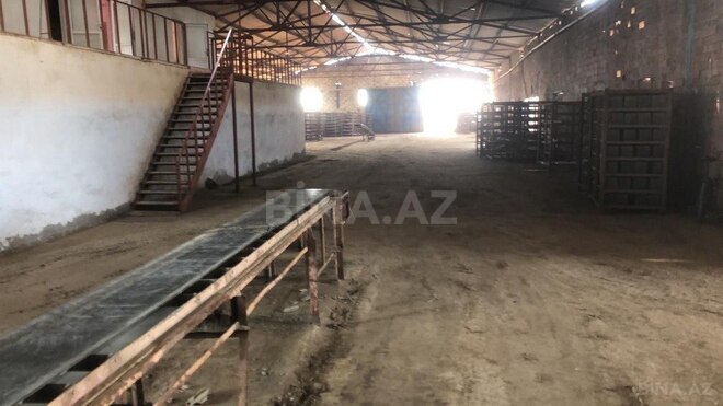 Объект - пос. Говсан - 3200 м² (2)