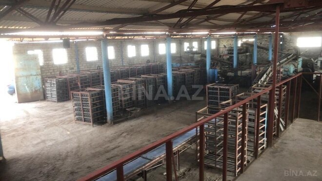 Объект - пос. Говсан - 3200 м² (6)