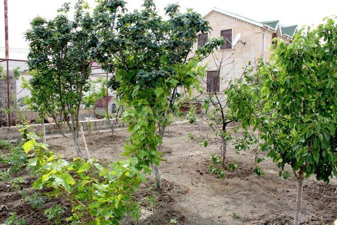 5 otaqlı həyət evi/bağ evi - Şüvəlan q. - 200 m² (5)