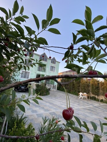 5 otaqlı həyət evi/bağ evi - Maştağa q. - 277.3 m² (30)