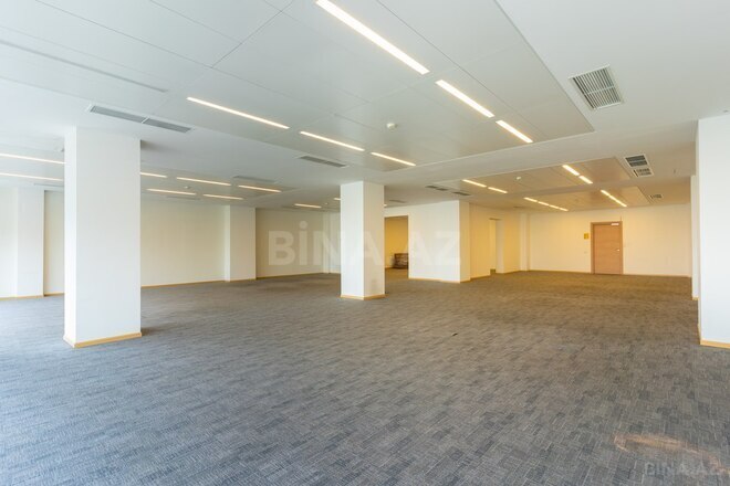 3-комн. офис - пос. Баилова - 396 м² (6)