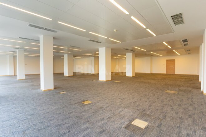 3-комн. офис - пос. Баилова - 396 м² (8)