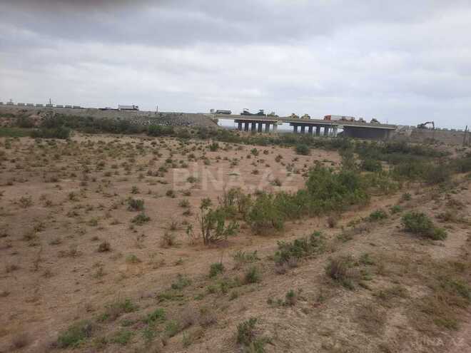 Satılır  torpaq 300 sot, photo 7 from 14