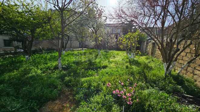 Продаётся  участок 76 сот, пос. Шихов , photo 4 from 9