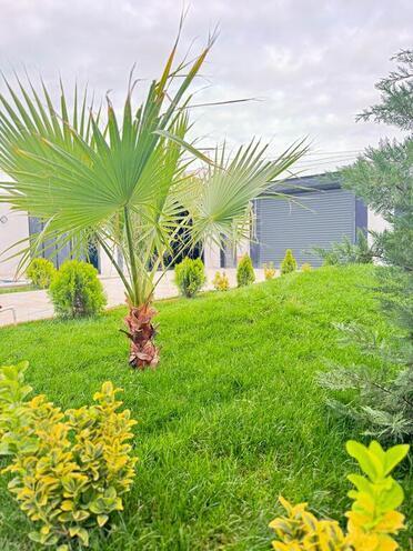 Satılır 4 otaqlı həyət evi/bağ evi 200 m², Şüvəlan q., photo 10 from 26