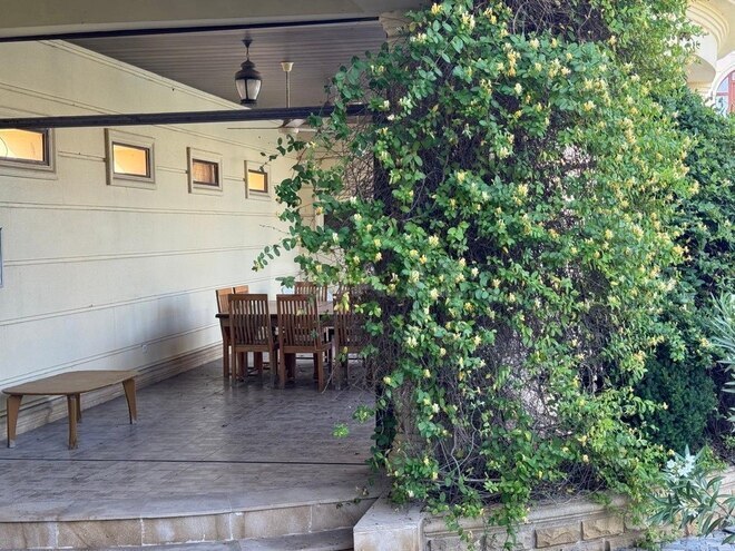 7 otaqlı həyət evi/bağ evi - Mərdəkan q. - 560 m² (10)