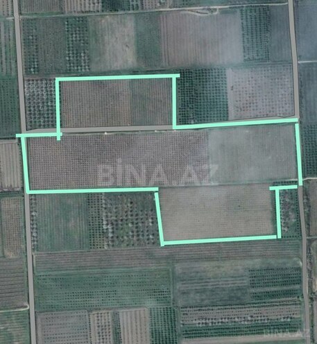 Satılır  torpaq 830 sot, Xaçmaz r., photo 4 from 9
