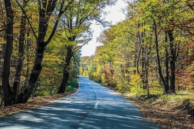 Satılır 5 otaqlı həyət evi/bağ evi 500 m², photo 26 from 29