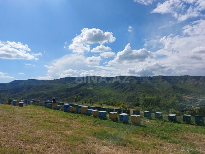 Объект - Исмаиллы - 55000 м² (6)