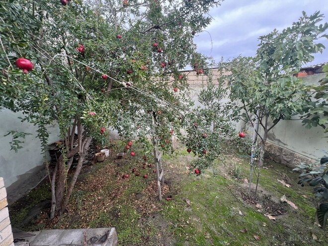 7 otaqlı həyət evi/bağ evi - Biləcəri q. - 340 m² (12)