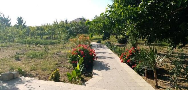 5 otaqlı həyət evi/bağ evi - Bilgəh q. - 180 m² (13)