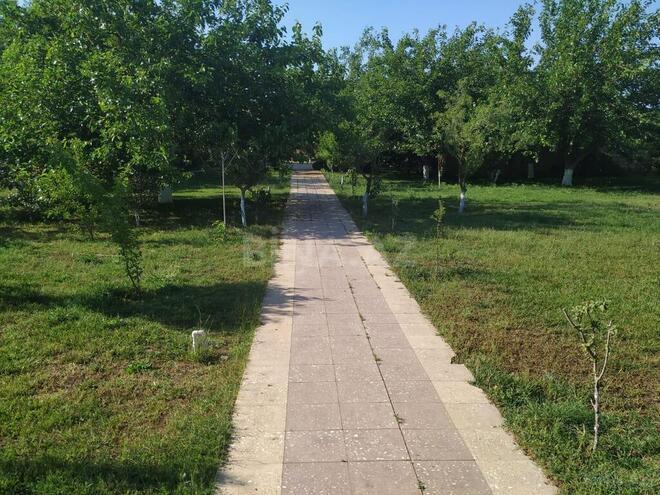 5 otaqlı həyət evi/bağ evi - Bilgəh q. - 180 m² (14)