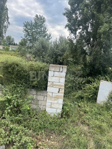 Участок - Хачмаз - 60 сот (3)