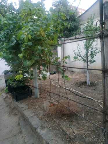 Продаётся  участок 4.5 сот, Бинагадинский р., photo 3 from 14