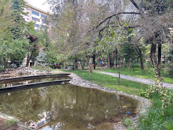 4 otaqlı köhnə tikili - Azadlıq Prospekti m. - 110 m² (18)