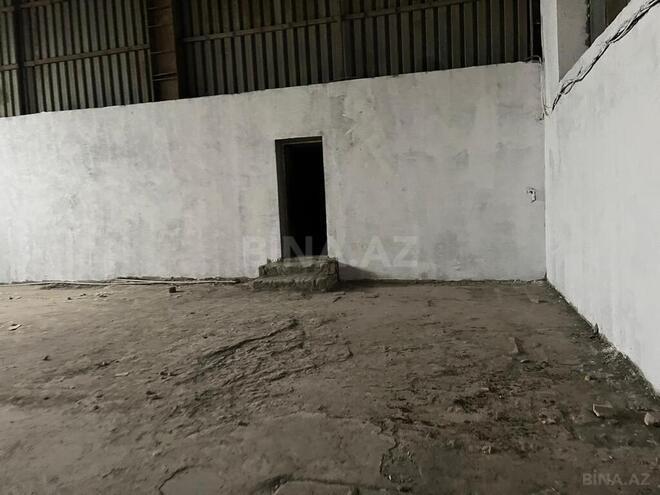 Obyekt - Buzovna q. - 50000 m² (2)