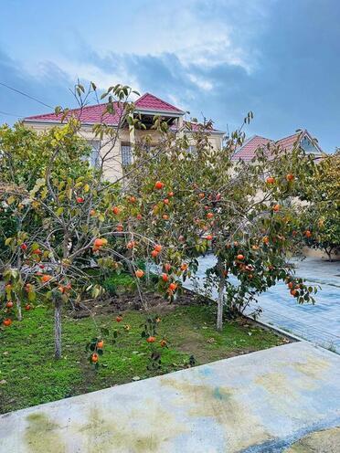 6 otaqlı həyət evi/bağ evi - Qaraçuxur q. - 200 m² (4)