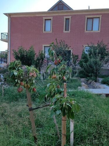 6 otaqlı həyət evi/bağ evi - Badamdar q. - 650 m² (5)
