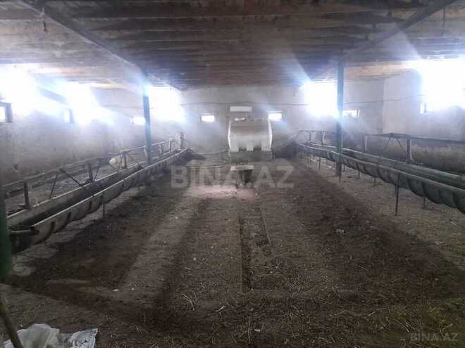 Объект - Гарадагский р. - 5000 м² (24)