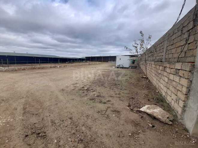 Объект - Гарадагский р. - 5000 м² (2)