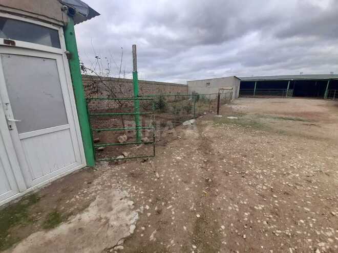 Объект - Гарадагский р. - 5000 м² (3)