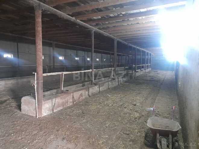 Объект - Гарадагский р. - 5000 м² (22)