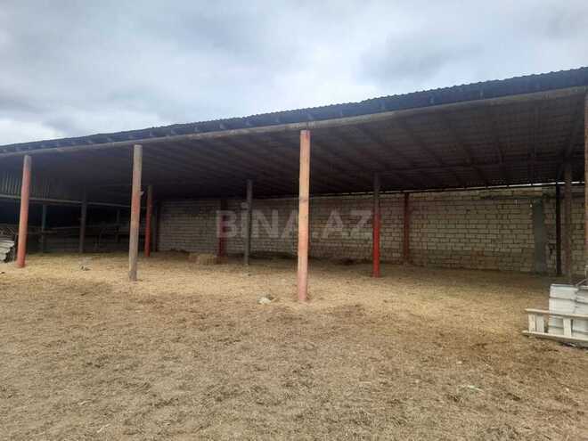 Объект - Гарадагский р. - 5000 м² (15)