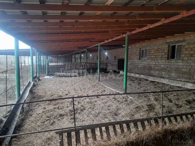 Объект - Гарадагский р. - 5000 м² (8)